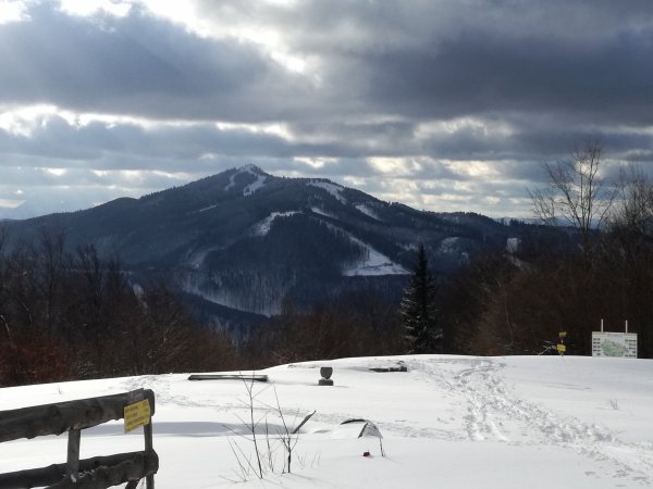 Blick zum Unterberg, 1342 m