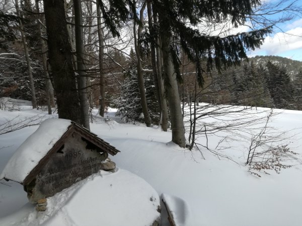 Waldsterben Gedenkkreuz