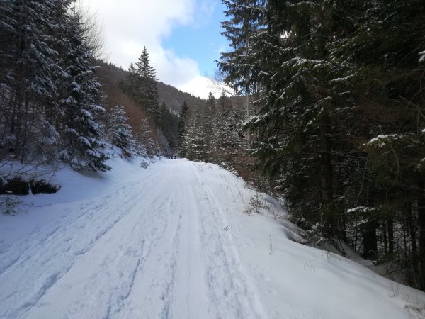 Aufstieg durch das Ramsental