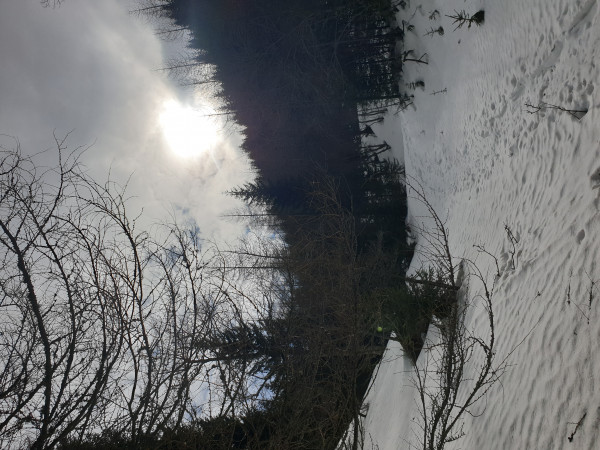 Am Ende des Kesselgrabens