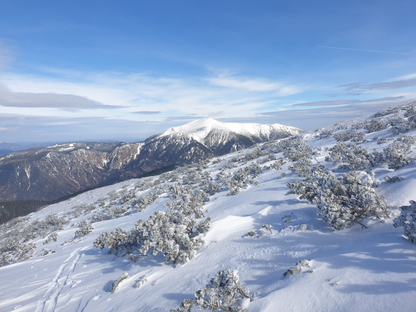 Blick Richtung Norden zum Schneeberg