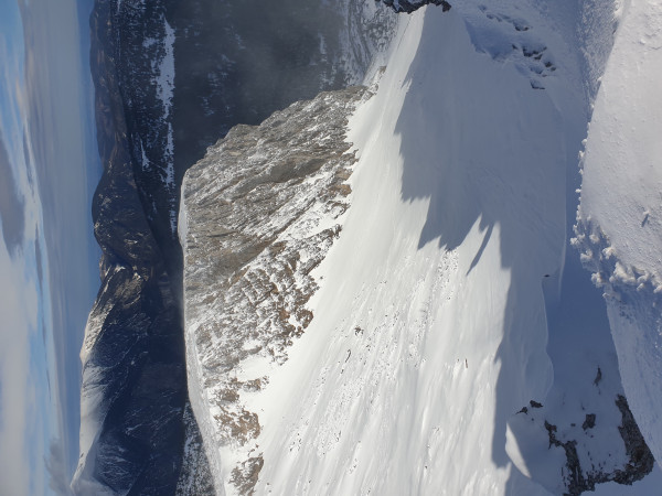 Blick in die Bärengrube