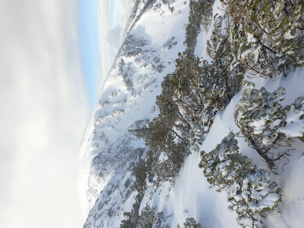 In der Latschengasse Richtung Scheibwaldhöhe