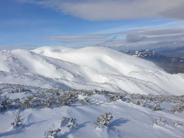 Süd- und Ostsektoren gut gefüllt