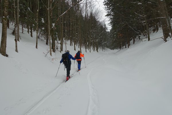 Am Weg zur Ebenbaueralm
