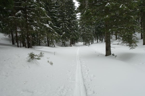 Abzweigung Walster-Ursprung