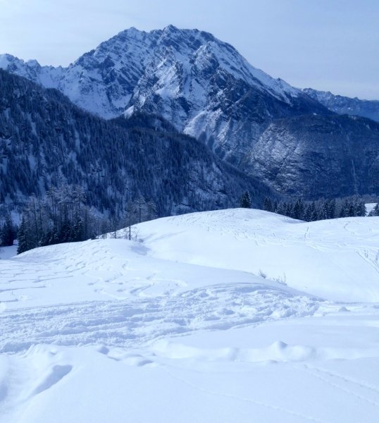 Abfahrtshang links vom Abwärtsgraben