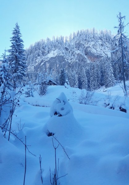 Bei der Königsbachalm
