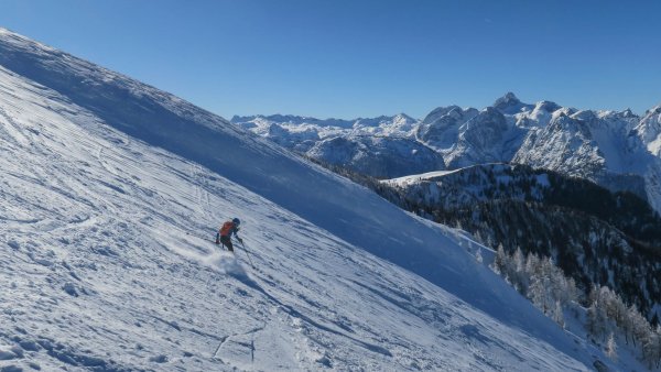 Oben noch windgepresst