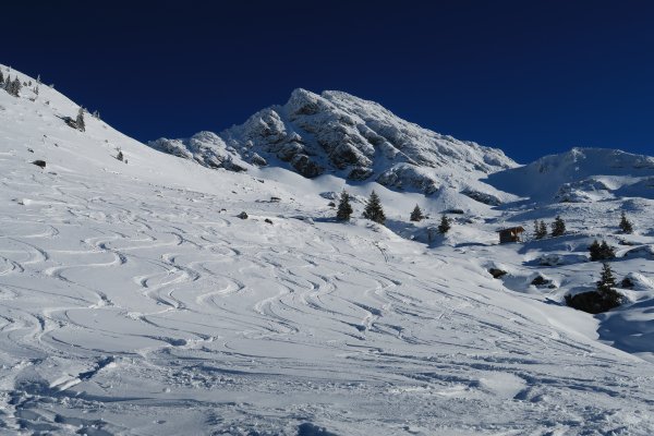 Dar war schon jemand