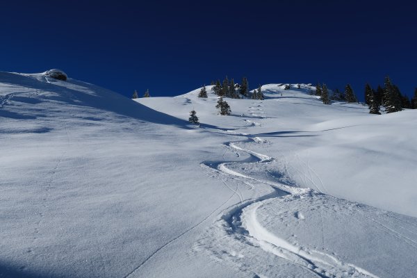 Herrlicher Windschattenpulver