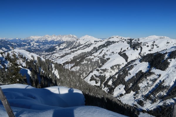 Blick zum Kaiser und Kitzbüheler Horn