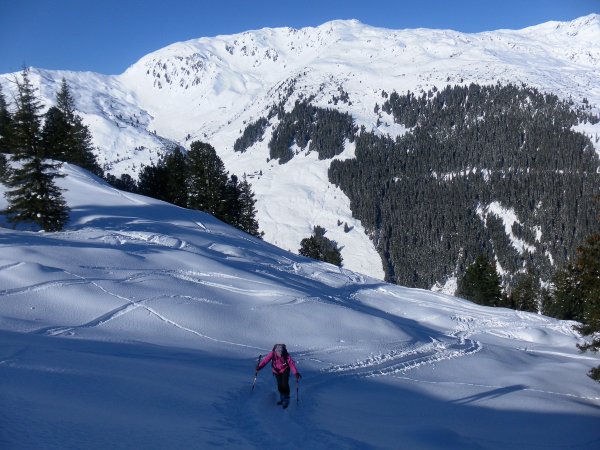 Westhänge oberhalb des steilen Waldgürtels