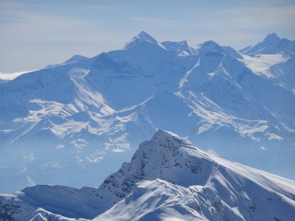 Seehorn