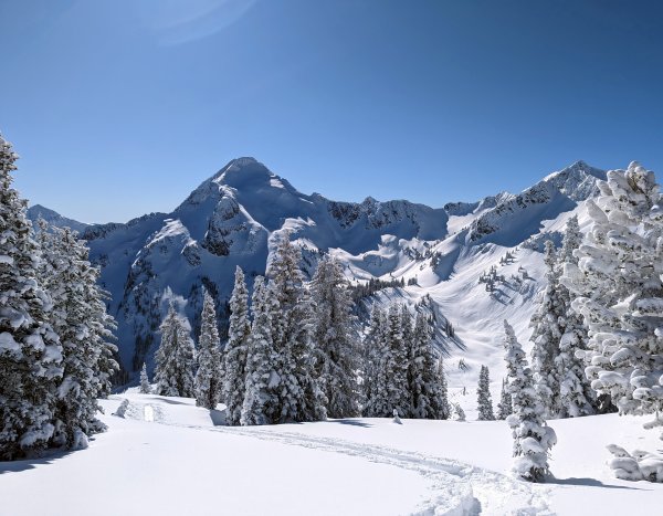 An derWaldgrenze
