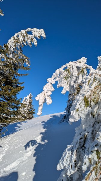 Die gestalten der Rauhnächte