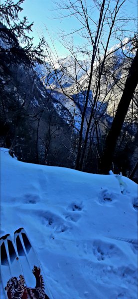 Hochbahnweg, Blick zum Königssee
