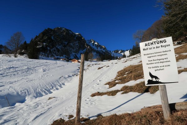 Vorsicht vor dem Wolf