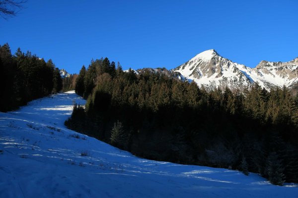 Meist dünner, harter Altschnee