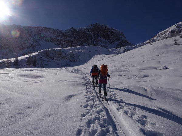 In den Böden der Farmkehralmen