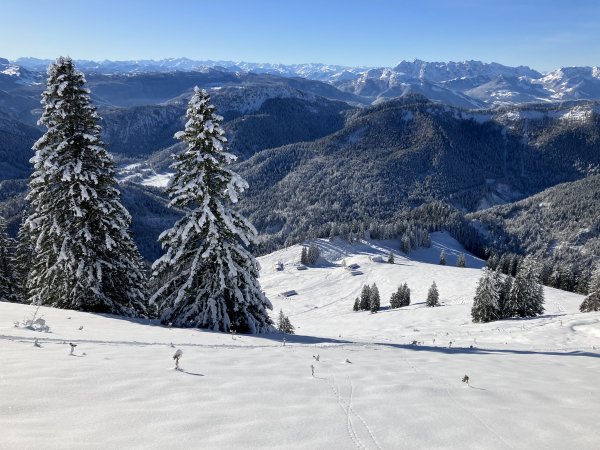 Die Vorfreude kann nicht grösser sein