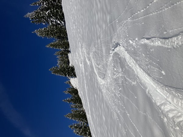 Nochmal! ca. 11:30 Uhr, schon leicht von der Sonne angewärmt
