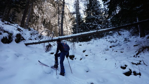 Über Stock und über Stein