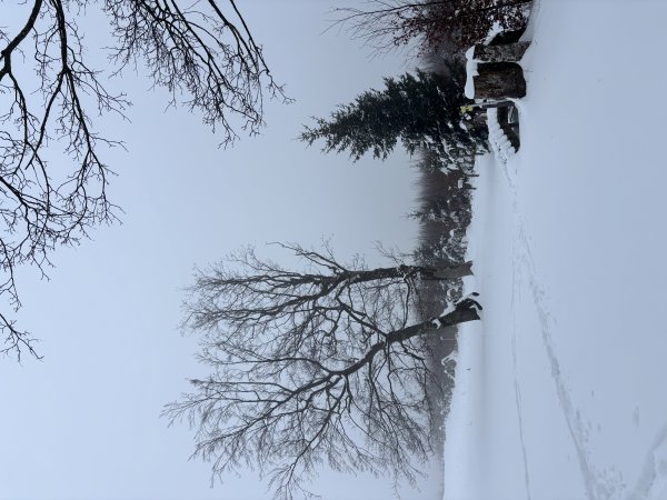 Über die windig/neblige Freifläche