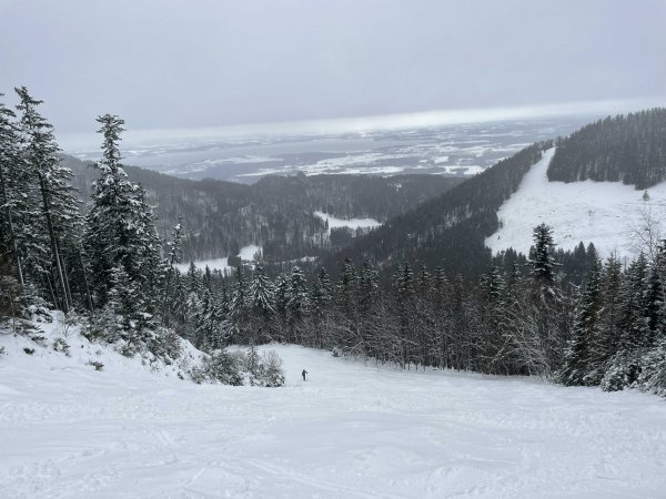 Steilhang unterm Bründlingköpfl gut schneebedeckt