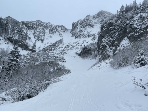 Mittlerweile pulvrige Schneeauflage