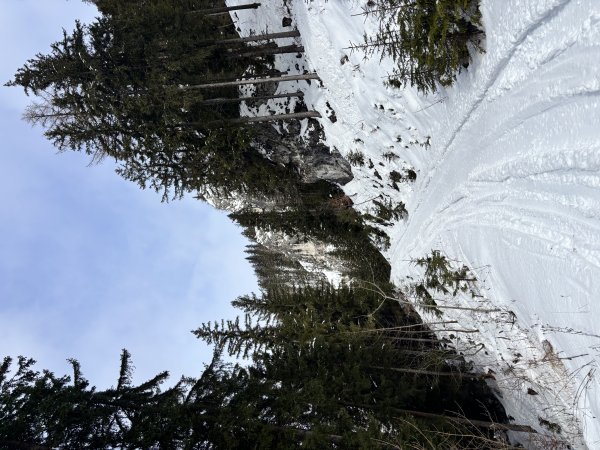 Aufstieg auf der Forststraße