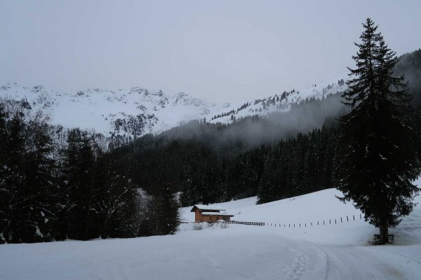 Unterwegs in den Greiter Graben