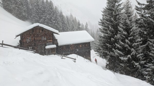 Schneefall an der Galleralm