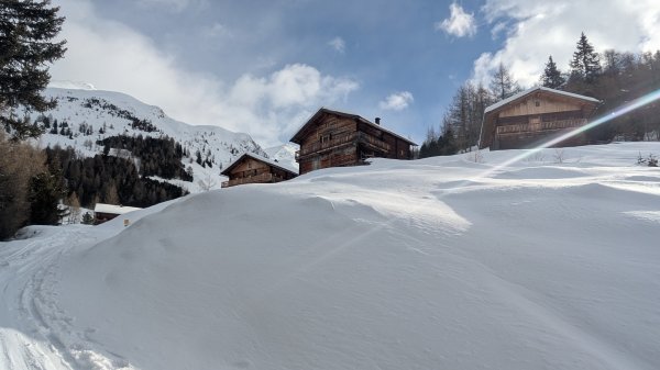 Idylische kamelisenalmen