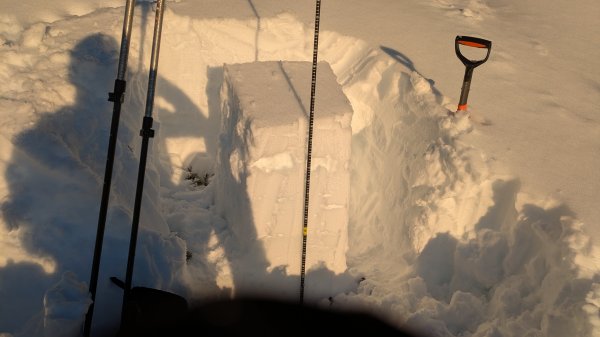 Schneedeckenuntersuchung