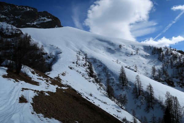 Rückblick zum oberen Roßfeldhang
