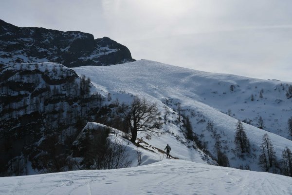 Blick auf den oberen Roßfeldhang