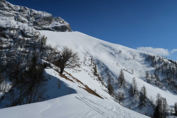 Rückblick oberes Roßfeld