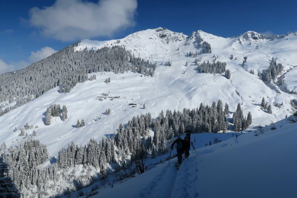 Rückblick oberhalb der Hochwildalm auf Gebra und Weißkopfkogel