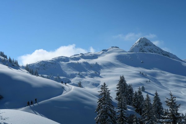 Kornbichl und Staffkogel