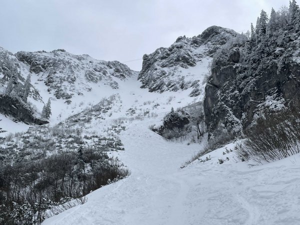 Pulverschnee bis zum Gipfel