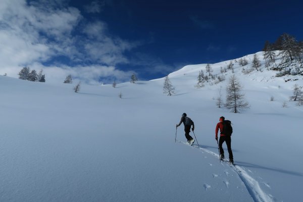 Spuren in unberührtem Gelände