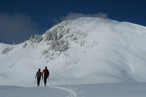 Gipfelhang zur Platte