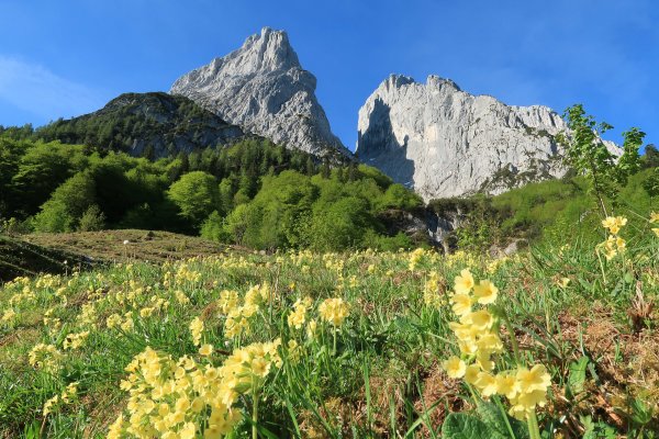 Frühling im Kaiser