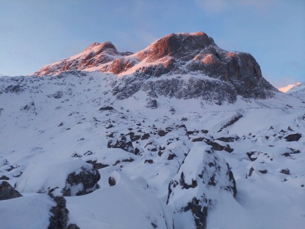 Königsköpfel, kl. Bratschenkopf