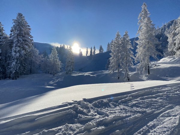 Wintertraum