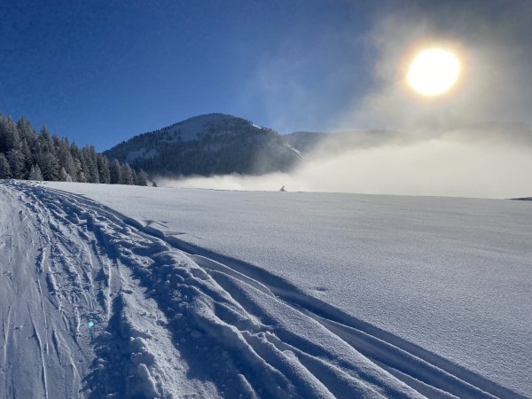 der Sonne entgegen