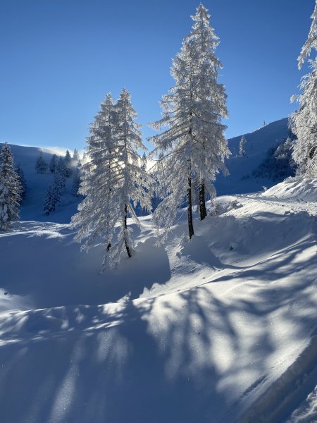 noch mehr Wintertraum
