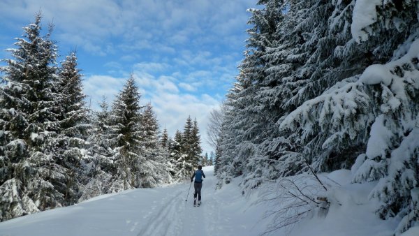 Die Sonne setzt sich durch