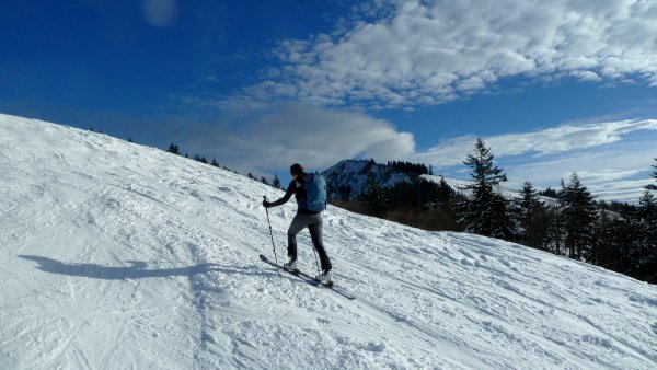 Blick zum Wieserhörndl